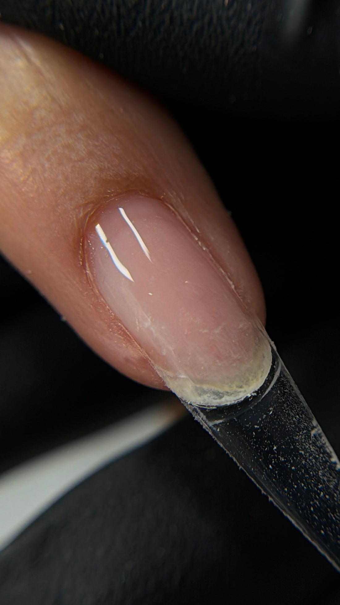 MTN BONDBASE  BASE GEL